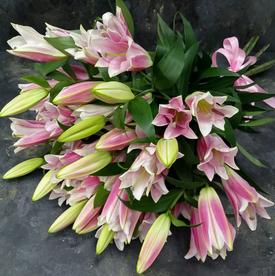 Букет из 9 розовых лилий