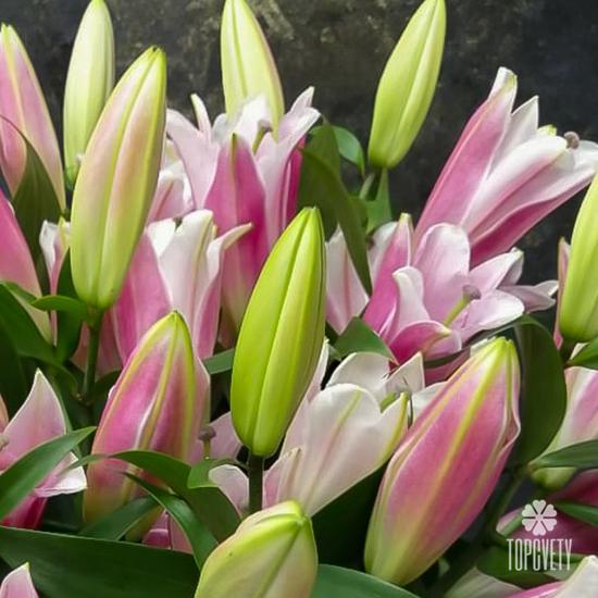 Букет из 9 розовых лилий