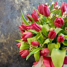 Букет из 101 красного тюльпана в коробке 