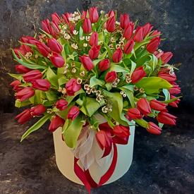 Букет из 101 красного тюльпана в коробке 