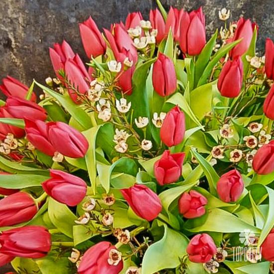 Букет из 101 красного тюльпана в коробке 