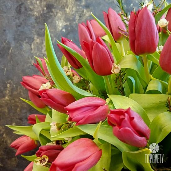 Букет из 101 красного тюльпана в коробке 