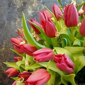 Букет из 101 красного тюльпана в коробке 