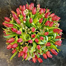 Букет из 101 красного тюльпана в коробке 