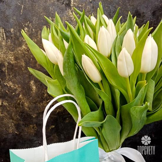 Букет из 35 белых тюльпанов 