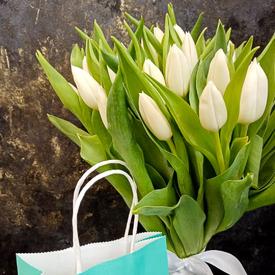 Букет из 35 белых тюльпанов 