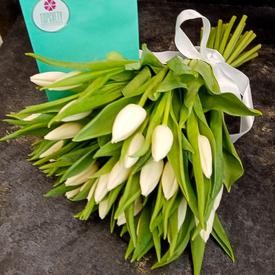 Букет из 35 белых тюльпанов 