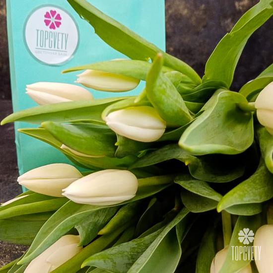 Букет из 35 белых тюльпанов 