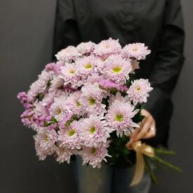 Букет из 5 кустовой хризантемы и статицы