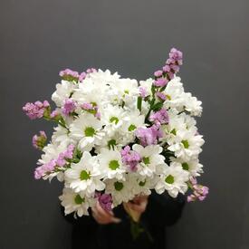 Букет из 5 кустовой хризантемы и статицы