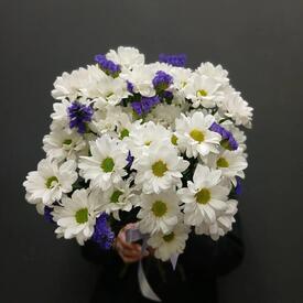 Букет из 5 кустовой хризантемы и статицы
