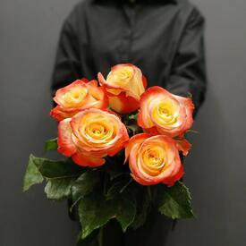 Букет из 5 роз Кабарет 50см