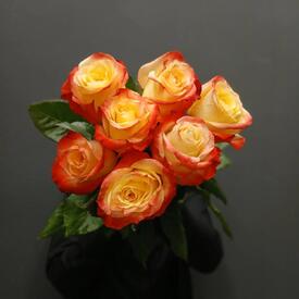 Букет из 7 роз Кабарет 50см