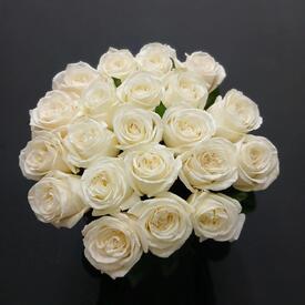  Букет из 21 розы Плайя Бланка 50см