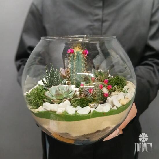 Флорариум Зелёная гармония