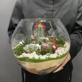 Флорариум Зелёная гармония