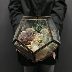 Флорариум Суккулентный калейдоскоп