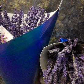 Букет из лаванды 