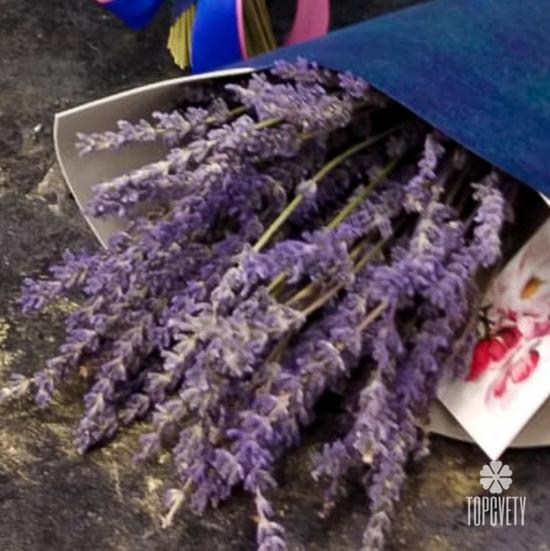 Букет из лаванды 