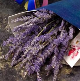 Букет из лаванды 