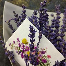 Букет из лаванды 