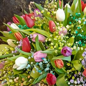 Букет из 101 тюльпана микс в коробке 