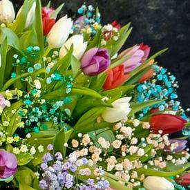 Букет из 101 тюльпана микс в коробке 