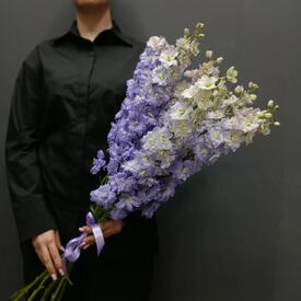 Букет из 7  дельфиниумов