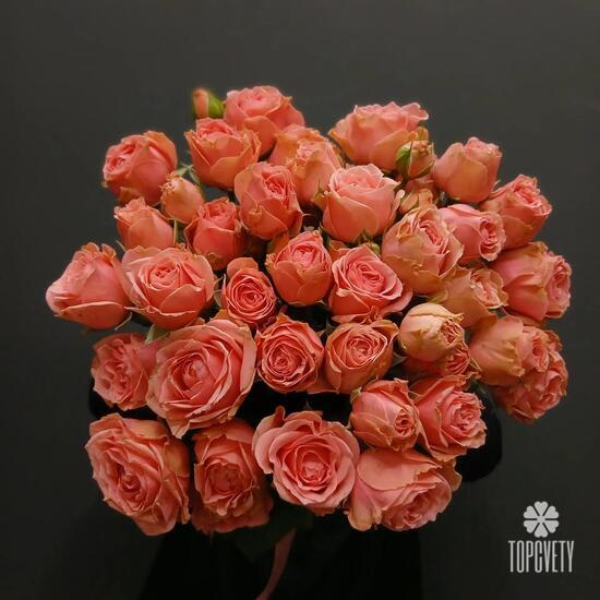 Букет из 11 кустовых роз 50см