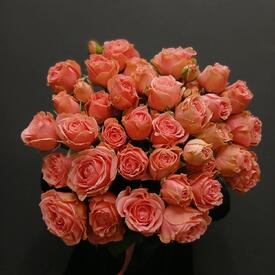 Букет из 11 кустовых роз 50см