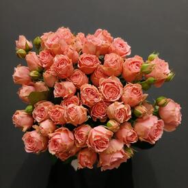 Букет из 13 кустовых роз 50см