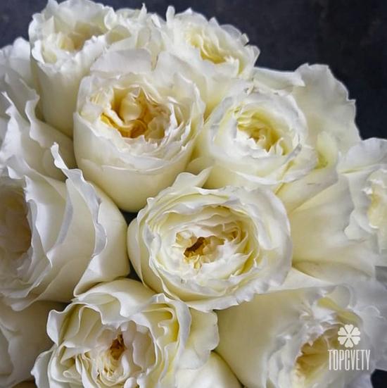 Букет невесты № 9