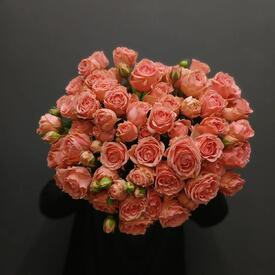 Букет из 19 кустовых роз 50см