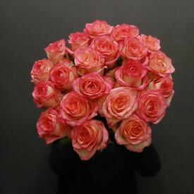 Букет из 21 розы Джумилия 50см