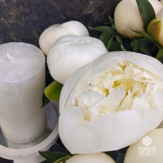 Букет из 13 белых пионов