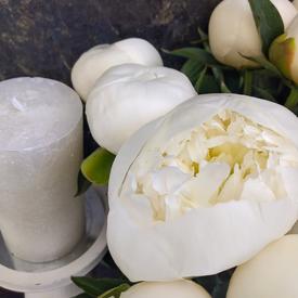 Букет из 13 белых пионов