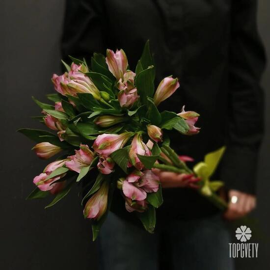 Букет из 5 розовых альстромерий
