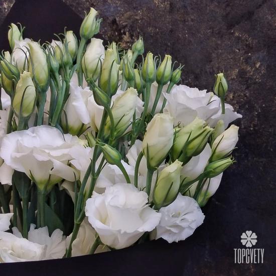 Букет из 15 белых эустом