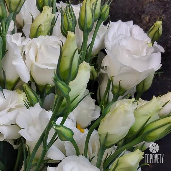 Букет из 15 белых эустом