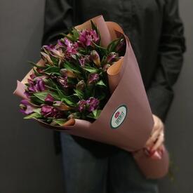 Букет из 11 фиолетовых альстромерий