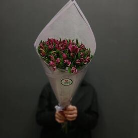 Букет из 9 фиолетовых альстромерий