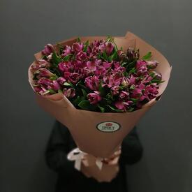 Букет из 13 фиолетовых альстромерий