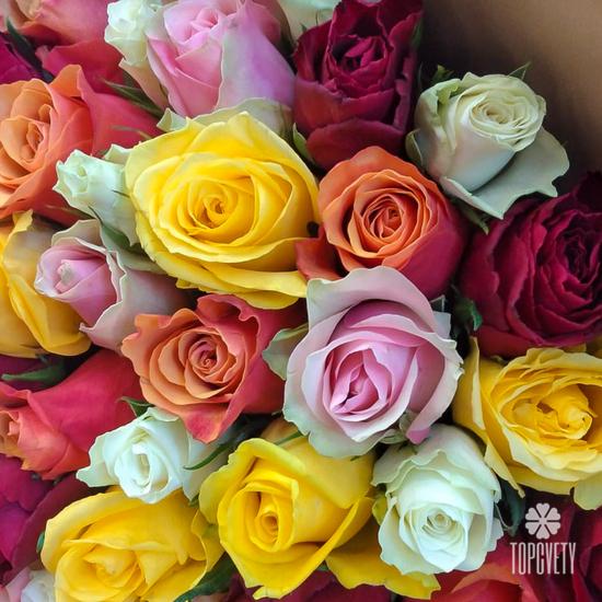 Букет из 51 розы микс 40см