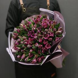 Букет из 25 фиолетовых альстромерий