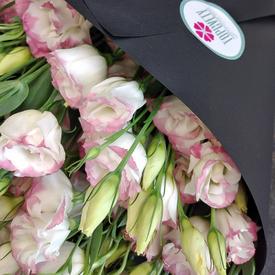 Букет из 15 розовых эустом