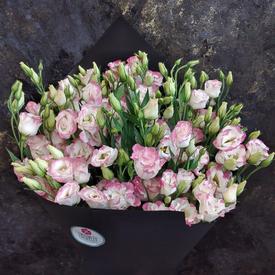 Букет из 15 розовых эустом