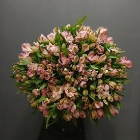 Букет из 35 розовых альстромерий