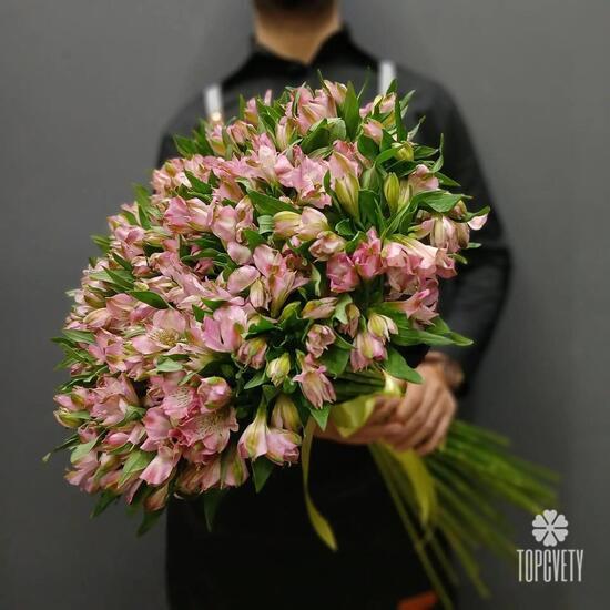 Букет из 51 розовой альстромерии