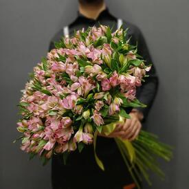 Букет из 51 розовой альстромерии