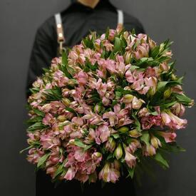 Букет из 51 розовой альстромерии